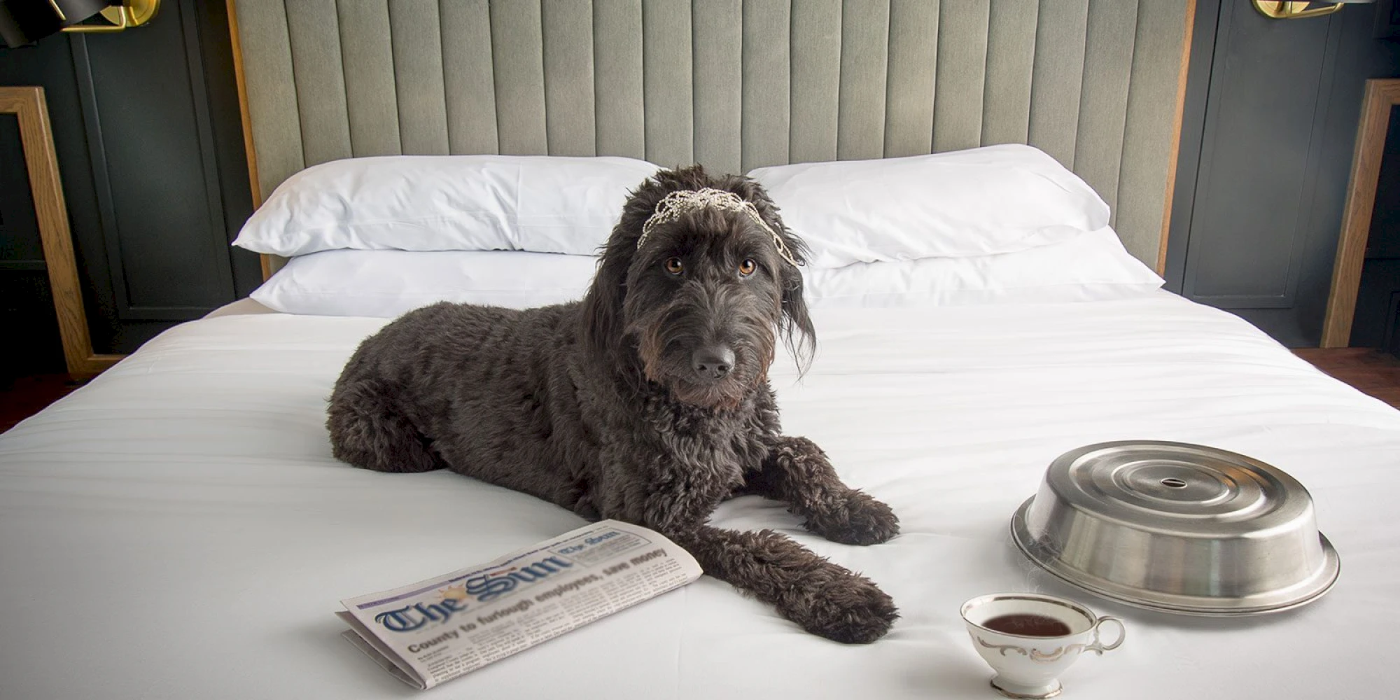 A dog lies on a bed with a newspaper, tea cup, and silver dish.