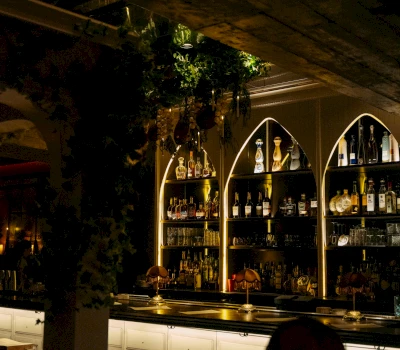A dimly lit bar with arched shelves filled with bottles and glasses, and plants hanging from the ceiling.